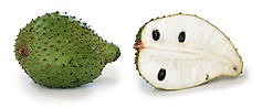 soursop cross section