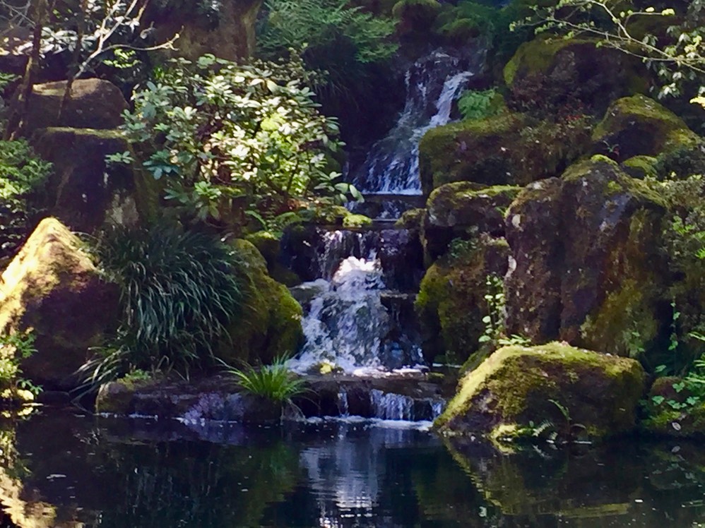 Water feature - Zen